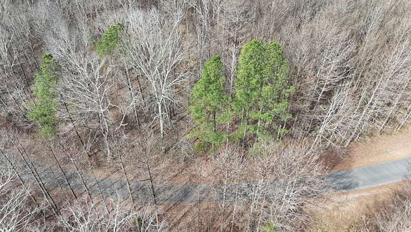 8.15 Acres of Residential Land for Sale in Egypt, Alabama