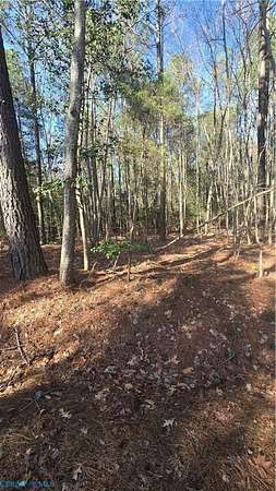 10.8 Acres of Land for Sale in Port Haywood, Virginia