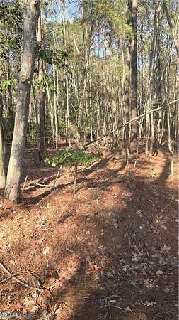 18.2 Acres of Recreational & Residential Land for Sale in Susan, Virginia