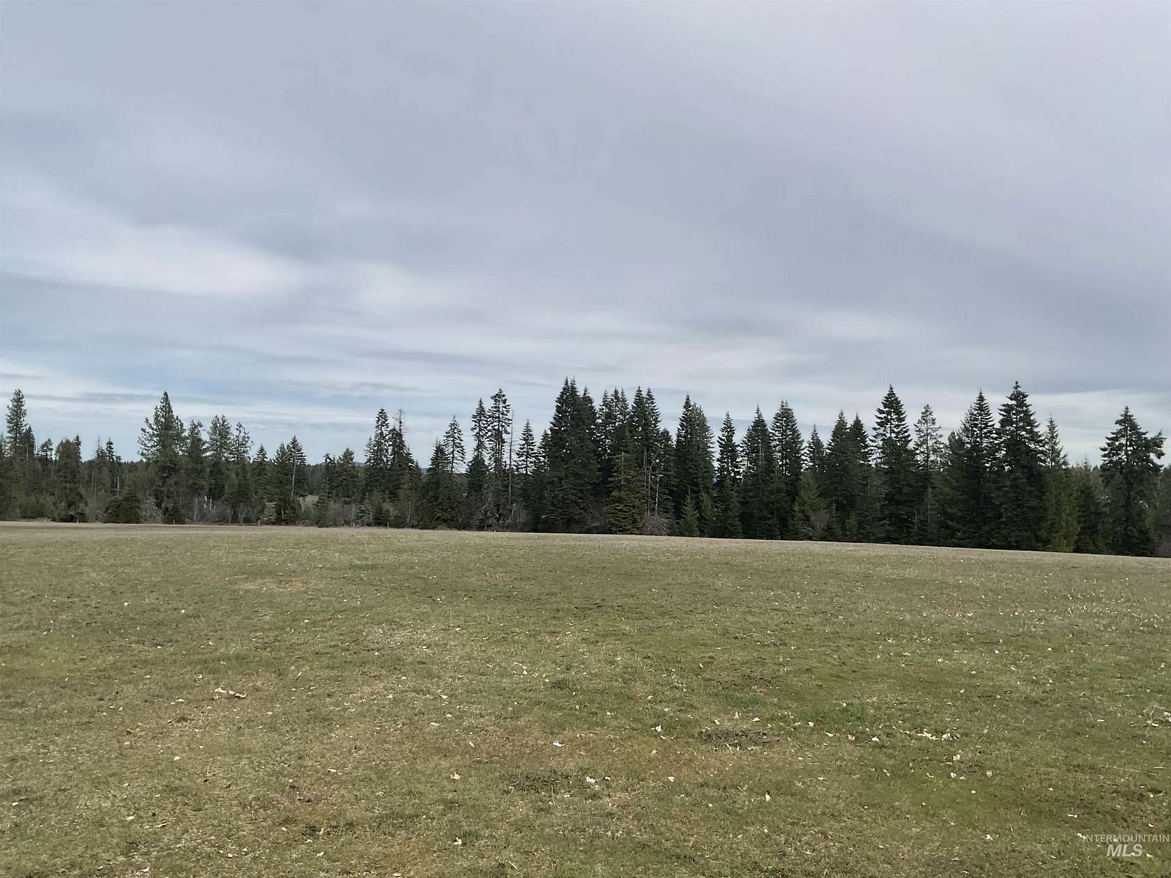 20 Acres of Agricultural Land for Sale in Orofino, Idaho