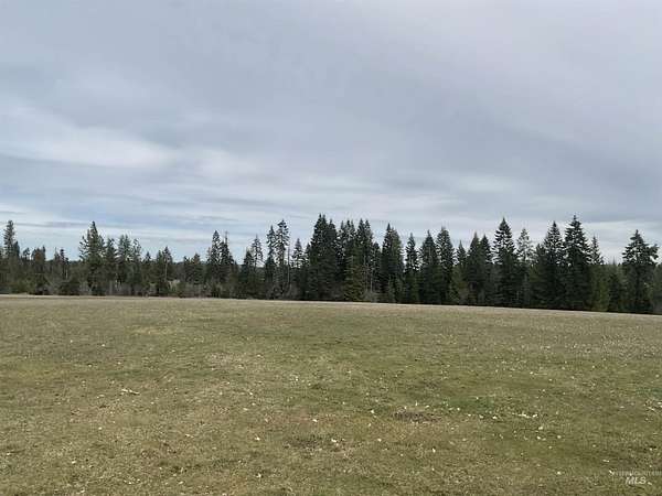 20 Acres of Agricultural Land for Sale in Orofino, Idaho