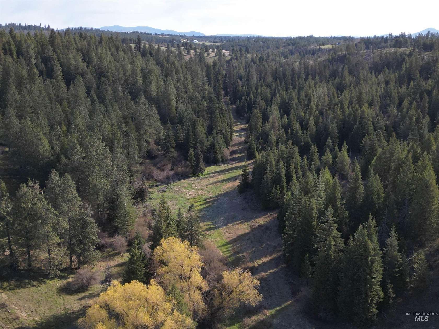 43.4 Acres of Land for Sale in Troy, Idaho