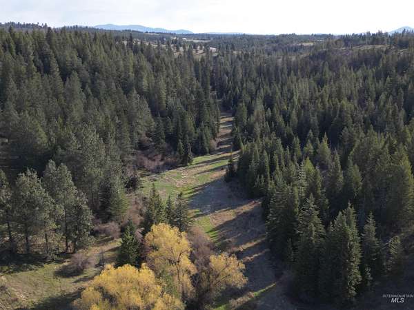 43.4 Acres of Land for Sale in Troy, Idaho