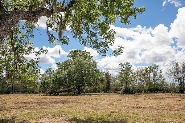 10 Acres of Land for Sale in Brazoria, Texas