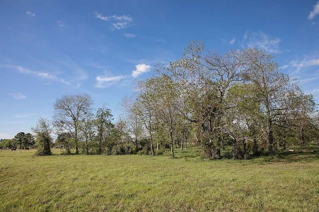 56.2 Acres of Land for Sale in Sealy, Texas