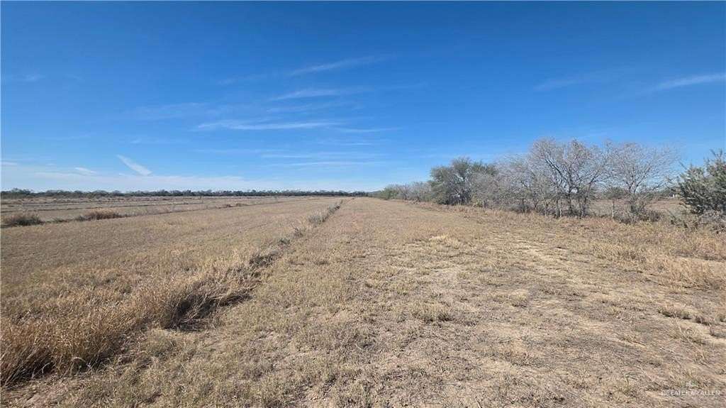 24.2 Acres of Land for Sale in Edinburg, Texas