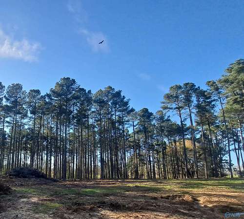 3 Acres of Residential Land for Sale in Albertville, Alabama
