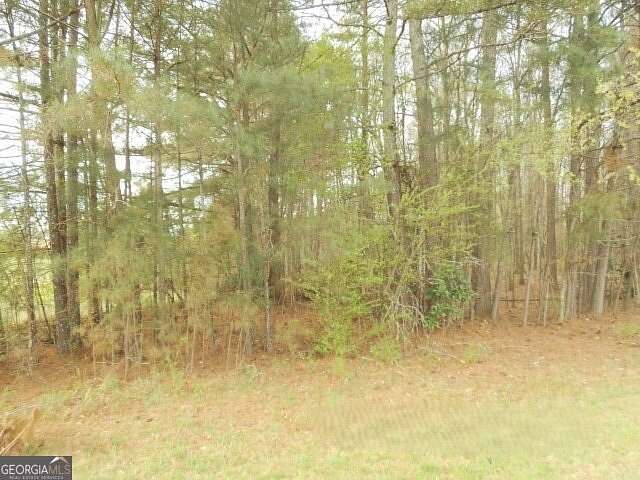 1 Acre of Land for Sale in Demorest, Georgia