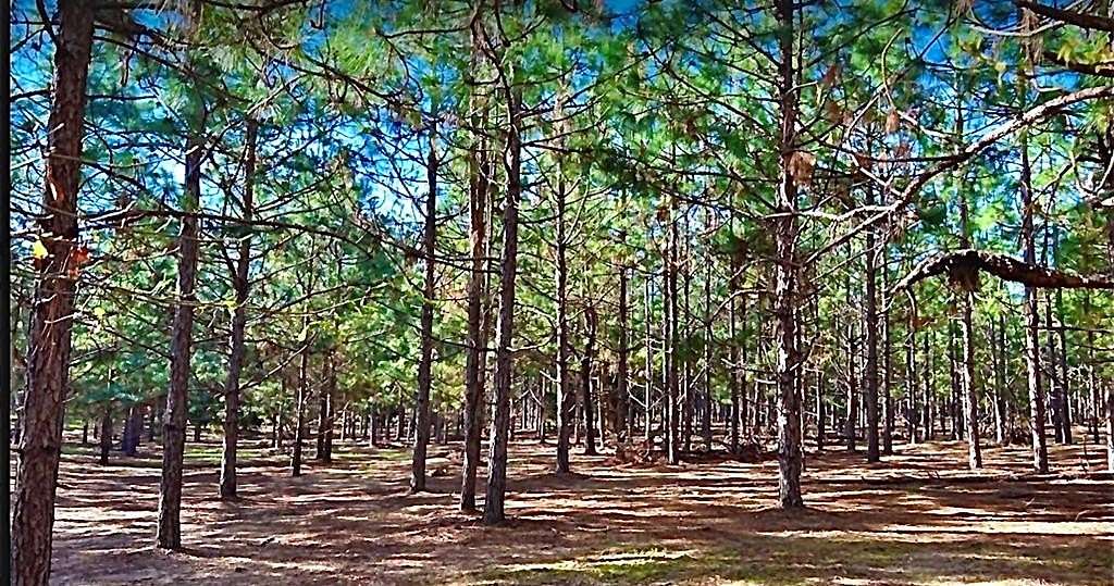 3 Acres of Residential Land for Sale in Headland, Alabama