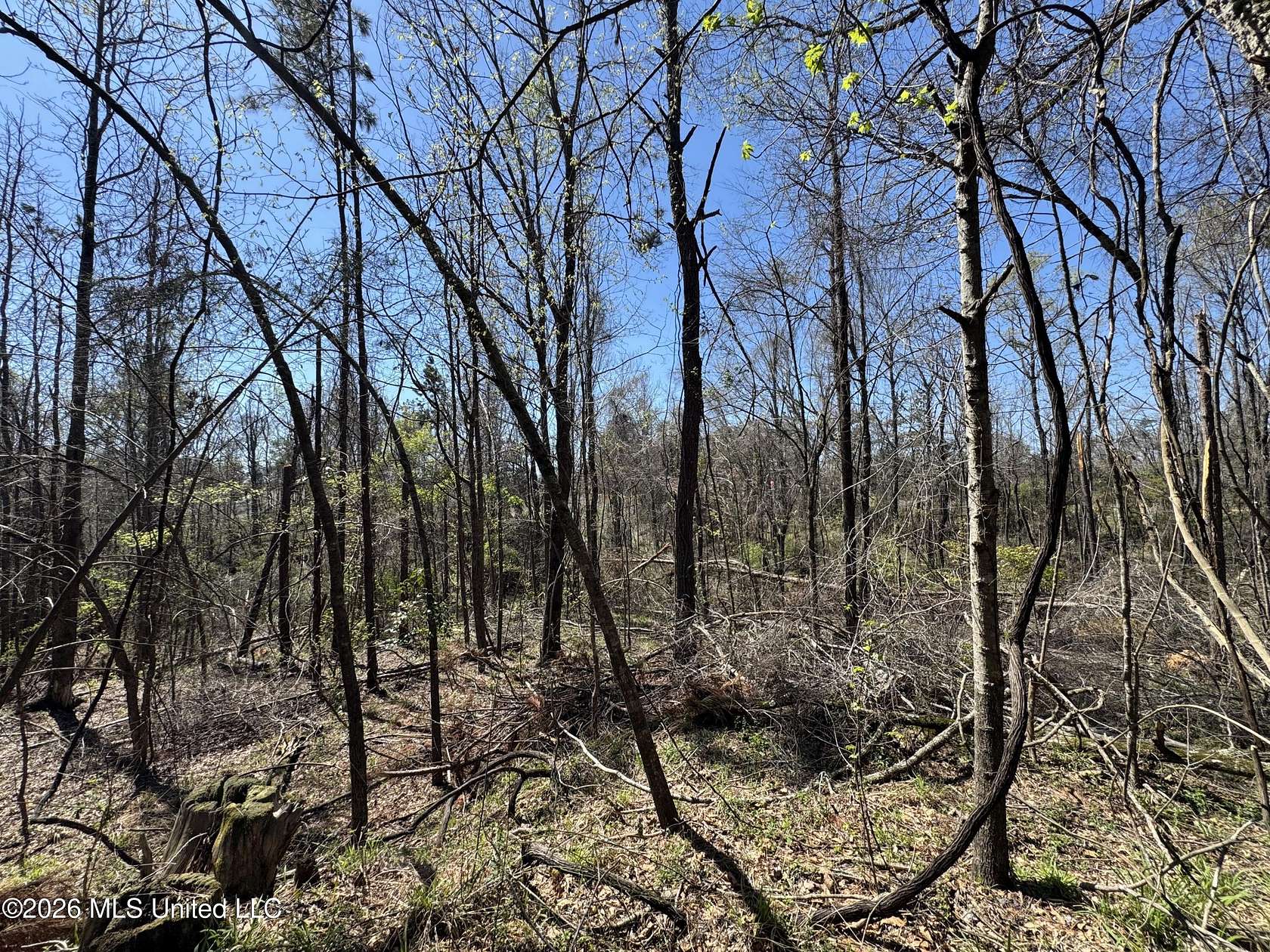 25.5 Acres of Recreational & Residential Land for Sale in Lexington, Mississippi