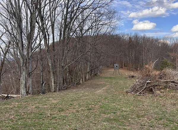 17.8 Acres of Recreational & Residential Land for Sale in Peterstown, West Virginia