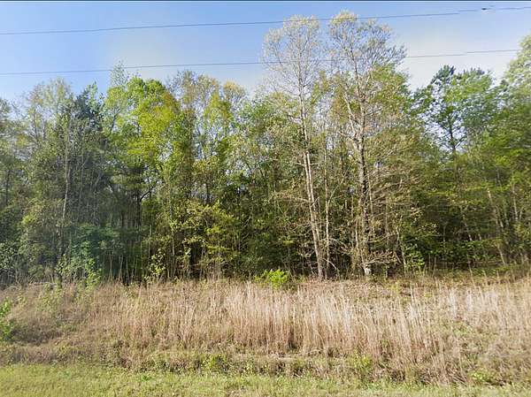 5 Acres of Residential Land for Sale in Gordon, Georgia