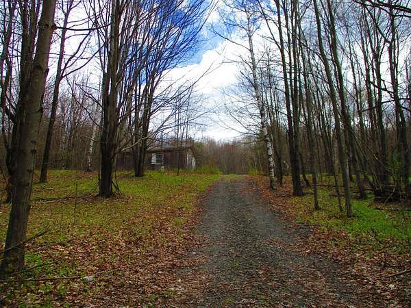 14.6 Acres of Recreational Land for Sale in Schenevus, New York