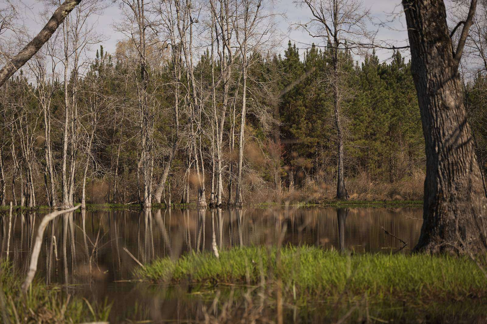 540 Acres of Land for Sale in Cropwell, Alabama