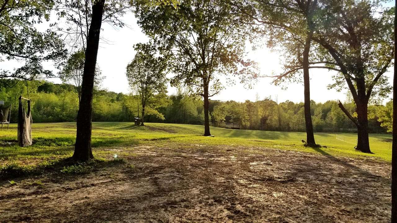 211 Acres of Land for Sale in Durant, Mississippi