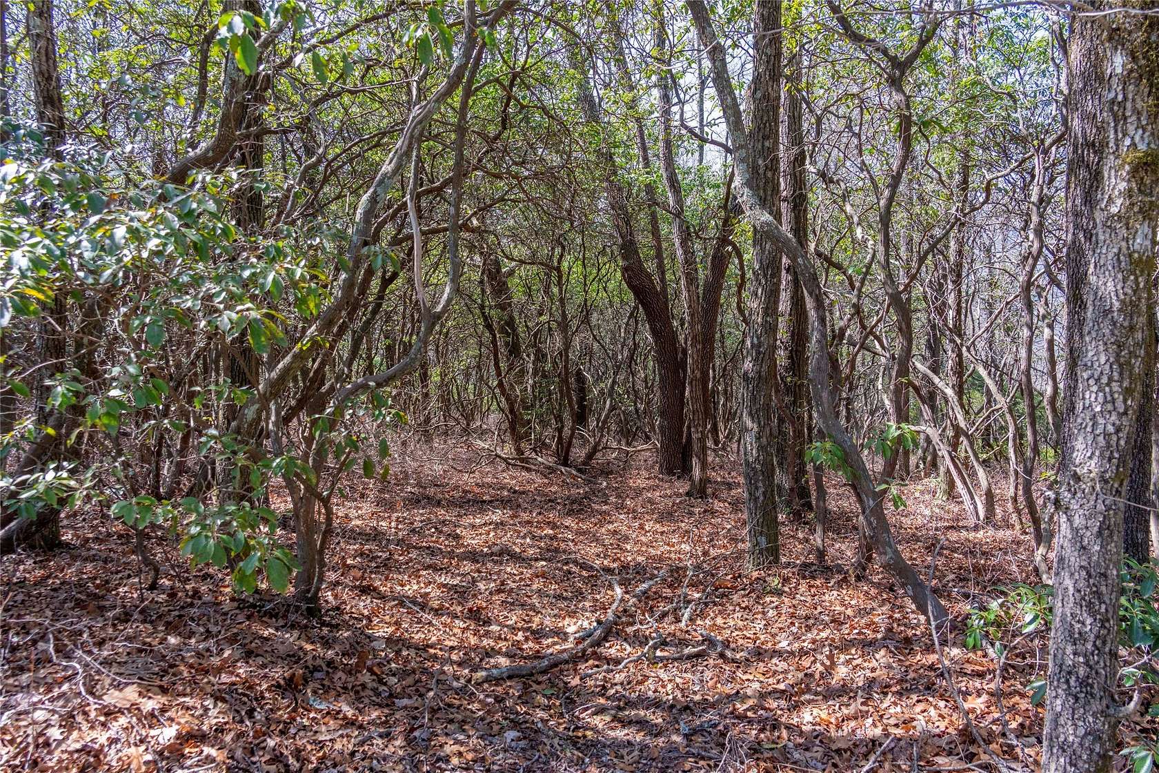 0.93 Acres of Residential Land for Sale in Lake Toxaway, North Carolina