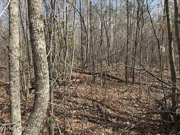 1.3 Acres of Residential Land for Sale in Monterey, Tennessee