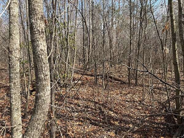 1.3 Acres of Land for Sale in Monterey, Tennessee