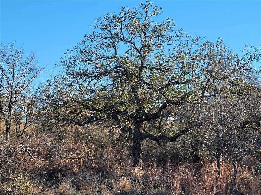 0.23 Acres of Residential Land for Sale in Granite Shoals, Texas