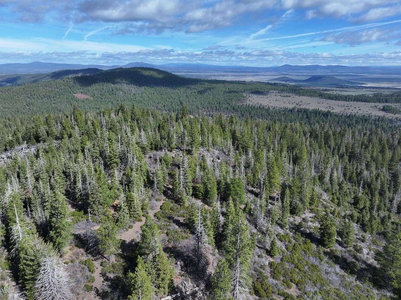 33.2 Acres of Recreational & Residential Land for Sale in Bonanza, Oregon