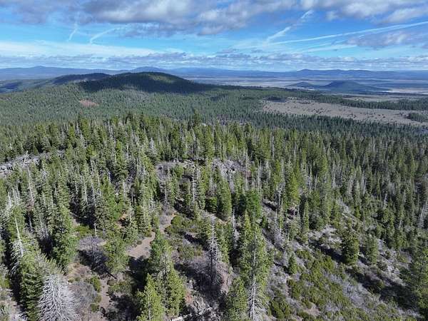 33.2 Acres of Recreational & Residential Land for Sale in Bonanza, Oregon