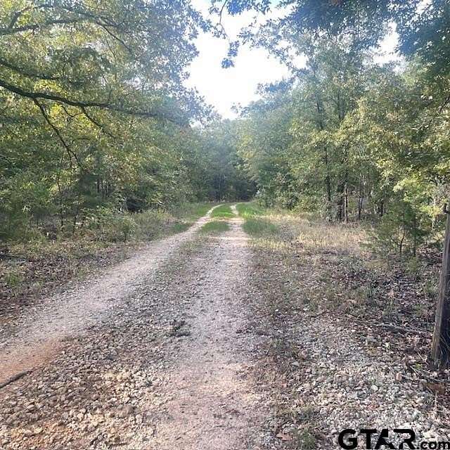 299 Acres of Recreational Land with Home for Sale in Mineola, Texas