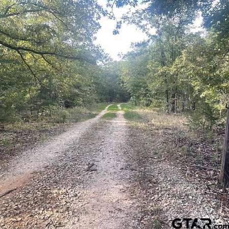 299 Acres of Recreational Land with Home for Sale in Mineola, Texas