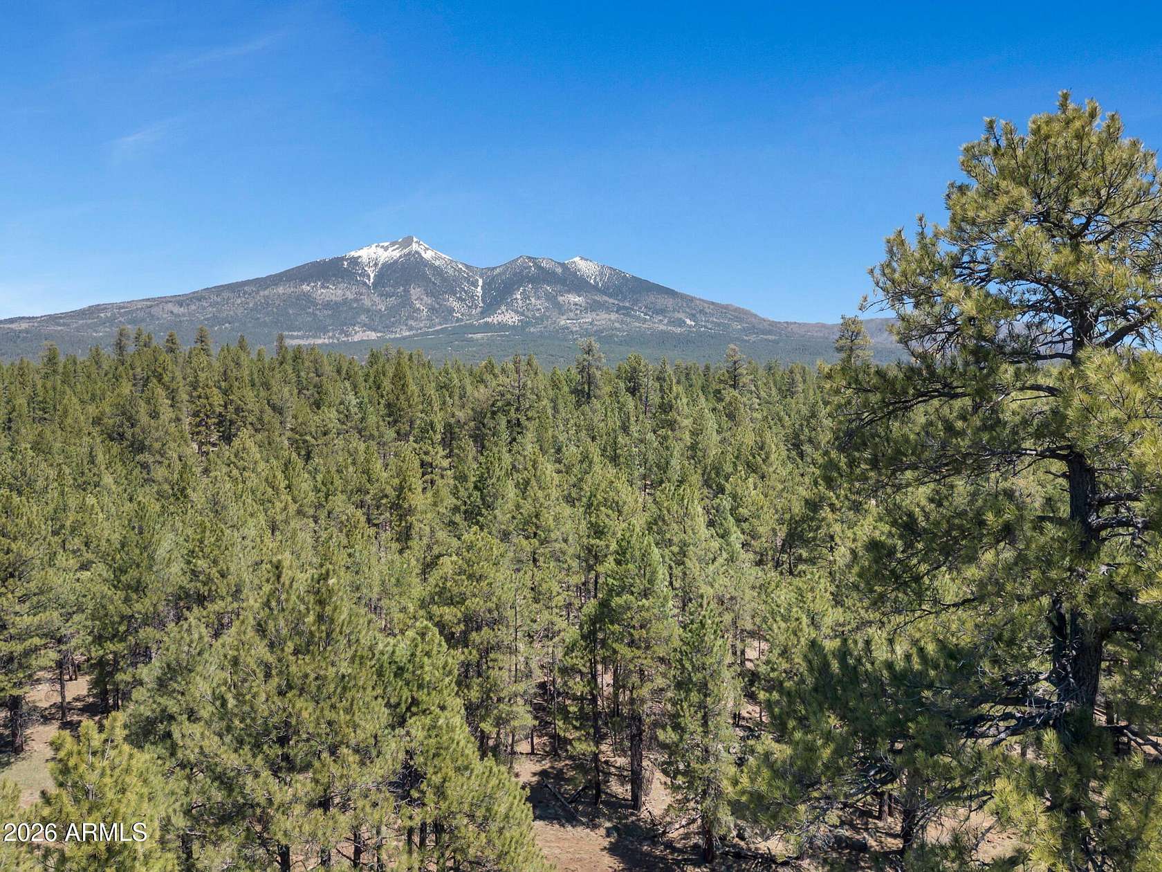 2.5 Acres of Residential Land for Sale in Flagstaff, Arizona