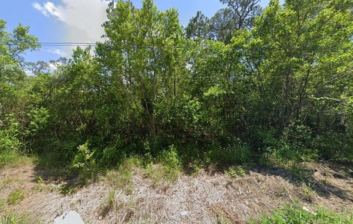 0.41 Acres of Residential Land for Sale in Leesburg, Florida