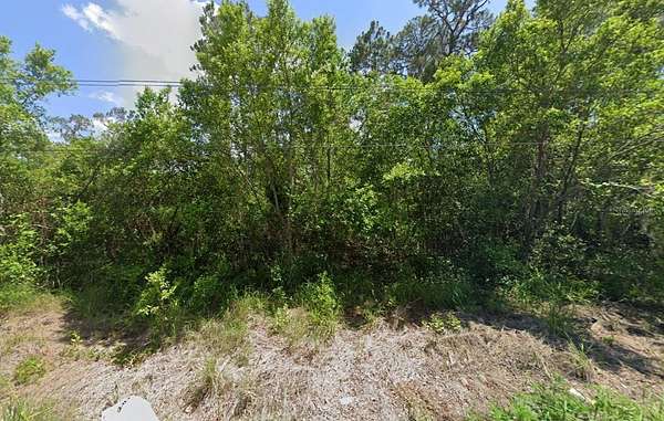 0.41 Acres of Residential Land for Sale in Leesburg, Florida