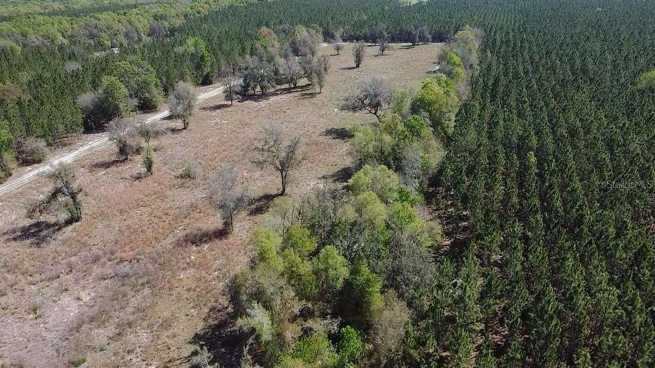 17 Acres of Land for Sale in Fort White, Florida