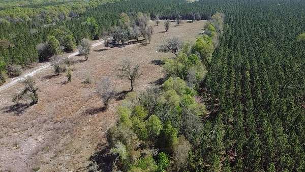 17 Acres of Land for Sale in Fort White, Florida