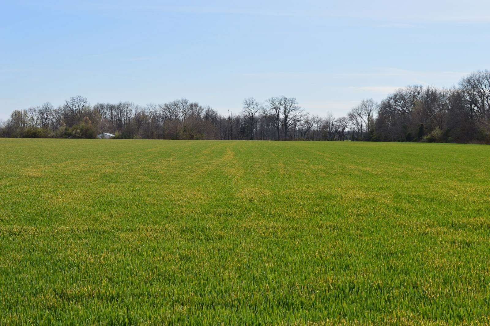 16 Acres of Agricultural Land for Sale in Mill Shoals, Illinois