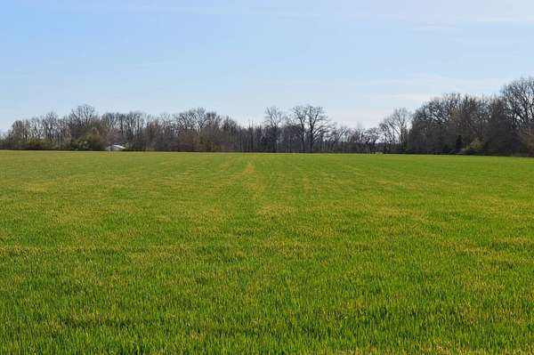 16 Acres of Agricultural Land for Sale in Mill Shoals, Illinois