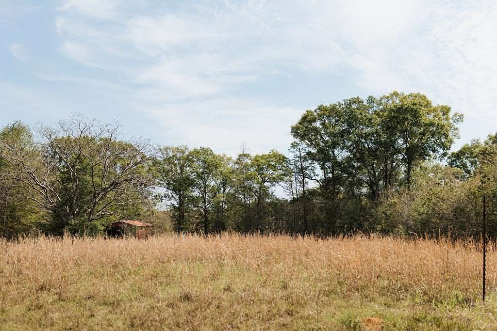 1.27 Acres of Residential Land for Sale in Carriere, Mississippi