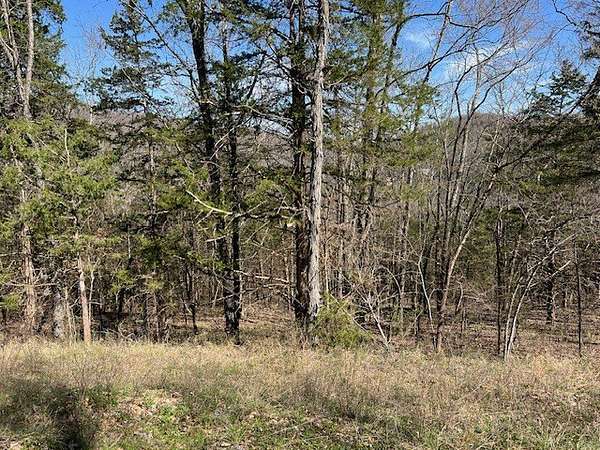 0.36 Acres of Land for Sale in Holiday Island, Arkansas