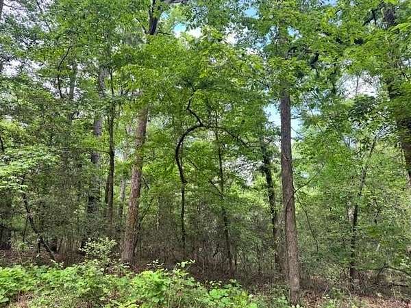 1.47 Acres of Residential Land for Sale in Etoile, Texas