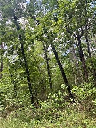 0.83 Acres of Residential Land for Sale in Etoile, Texas