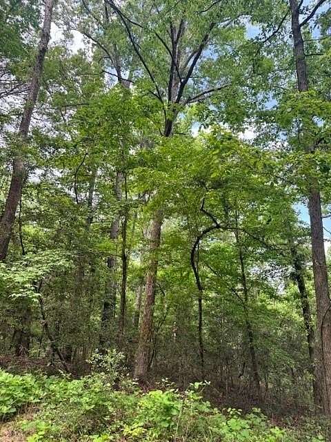0.73 Acres of Residential Land for Sale in Etoile, Texas