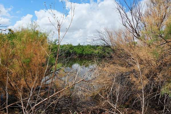 24.1 Acres of Recreational & Residential Land for Sale in Post, Texas