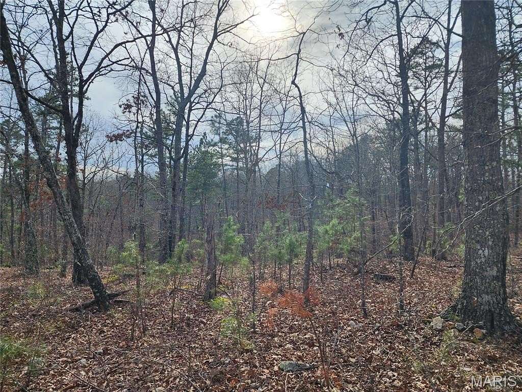 39 Acres of Recreational Land for Sale in Piedmont, Missouri