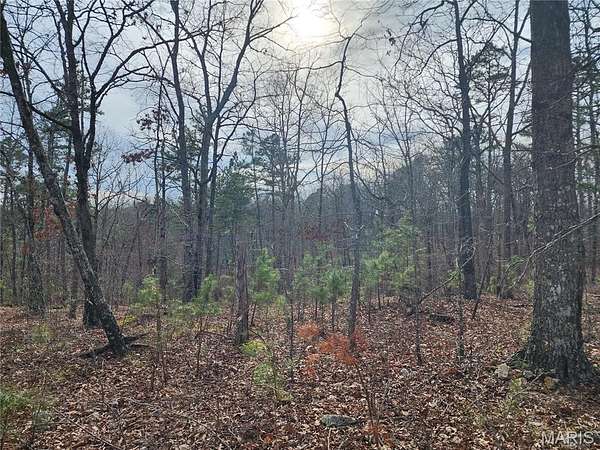 39 Acres of Recreational Land for Sale in Piedmont, Missouri