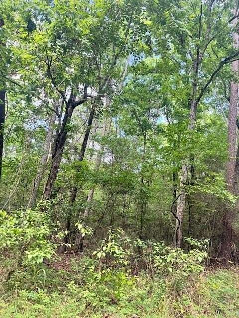 1.26 Acres of Residential Land for Sale in Etoile, Texas