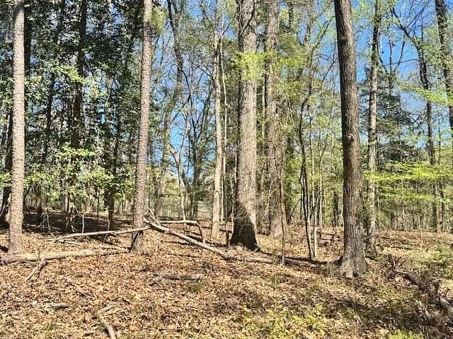 1.3 Acres of Residential Land for Sale in Etoile, Texas