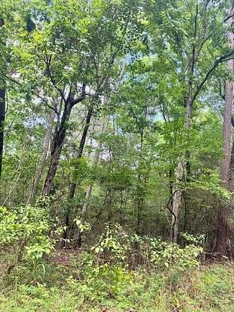 1.3 Acres of Residential Land for Sale in Etoile, Texas