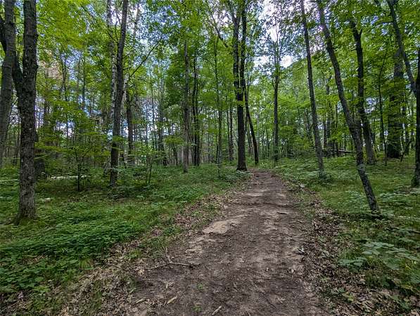 1.56 Acres of Residential Land for Sale in Webster, Wisconsin