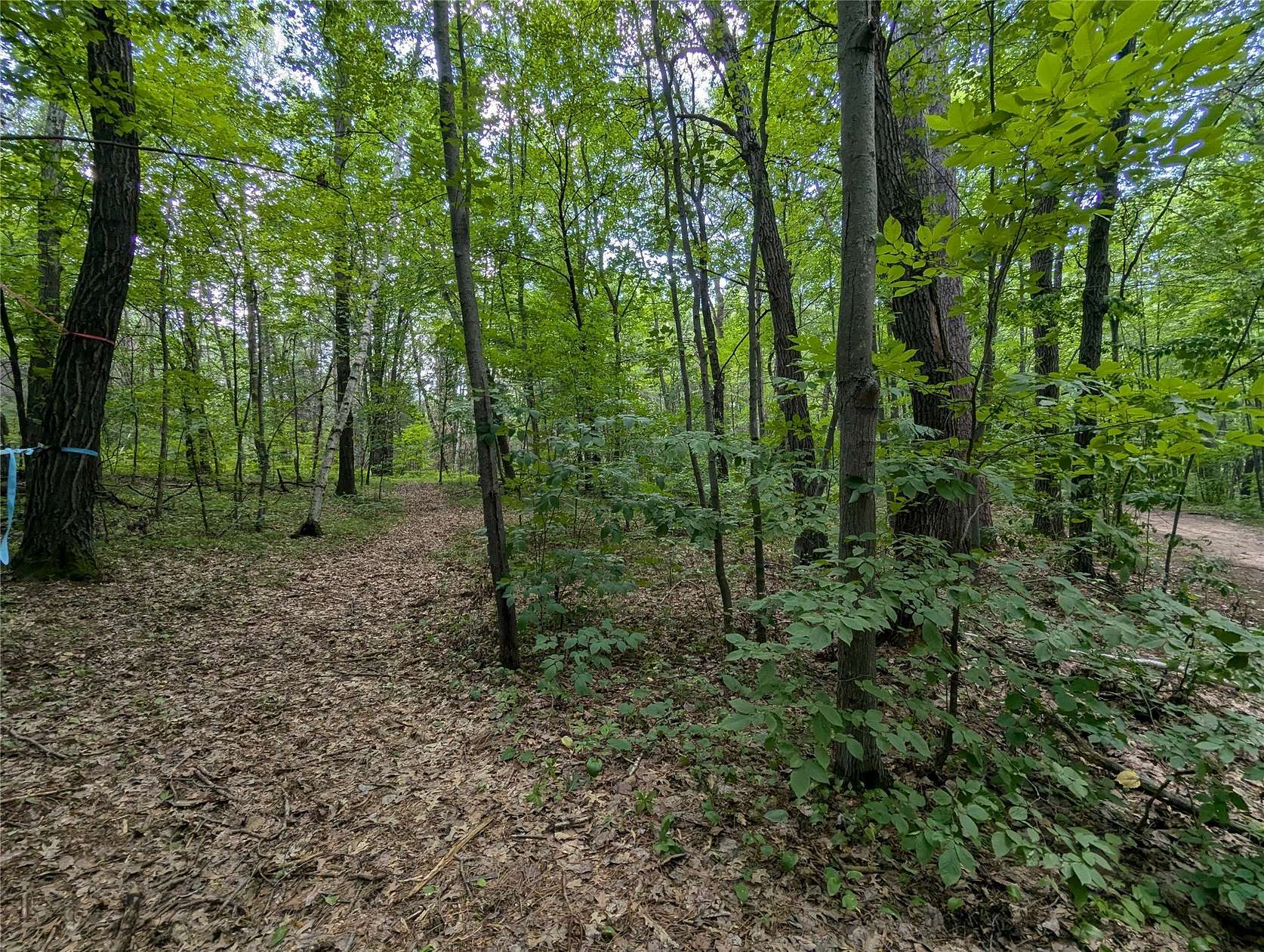 1.5 Acres of Residential Land for Sale in Webster, Wisconsin