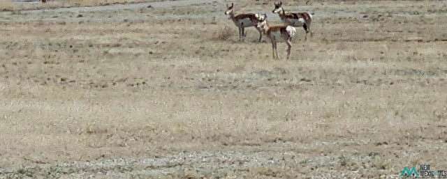 6 Acres of Residential Land for Sale in Roswell, New Mexico