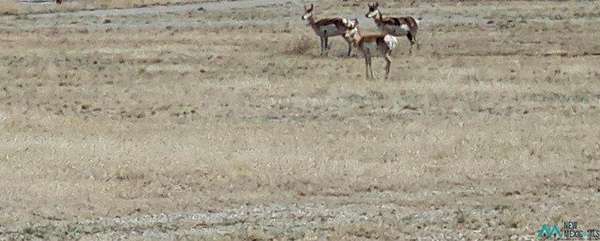 6 Acres of Residential Land for Sale in Roswell, New Mexico
