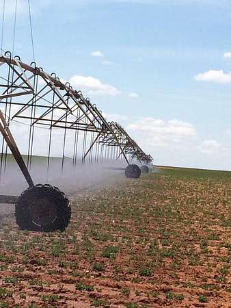 320 Acres of Land for Sale in Denver City, Texas